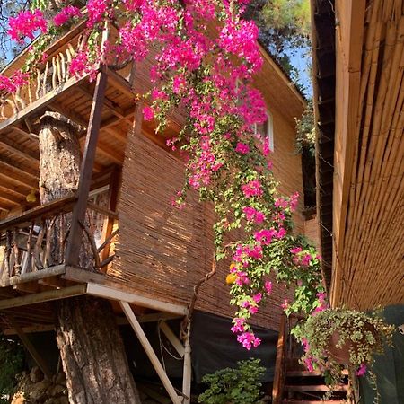 Large Bungalow With Sea View In Kabak Bay, Oeluedeniz Fethiye Eksteriør bilde