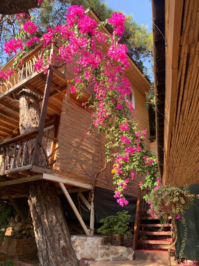 Large Bungalow With Sea View In Kabak Bay, Oeluedeniz Fethiye Eksteriør bilde