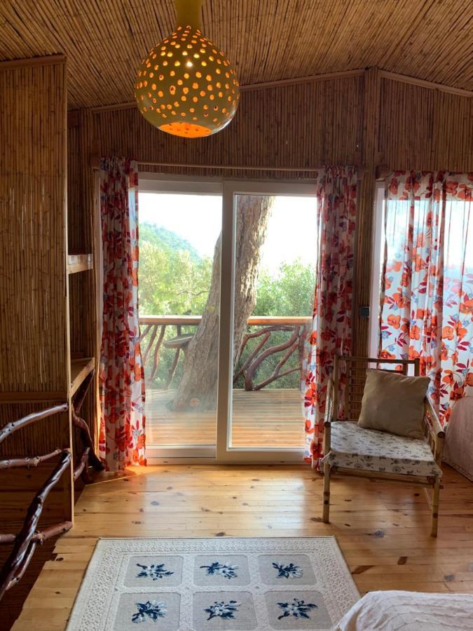 Large Bungalow With Sea View In Kabak Bay, Oeluedeniz Fethiye Eksteriør bilde