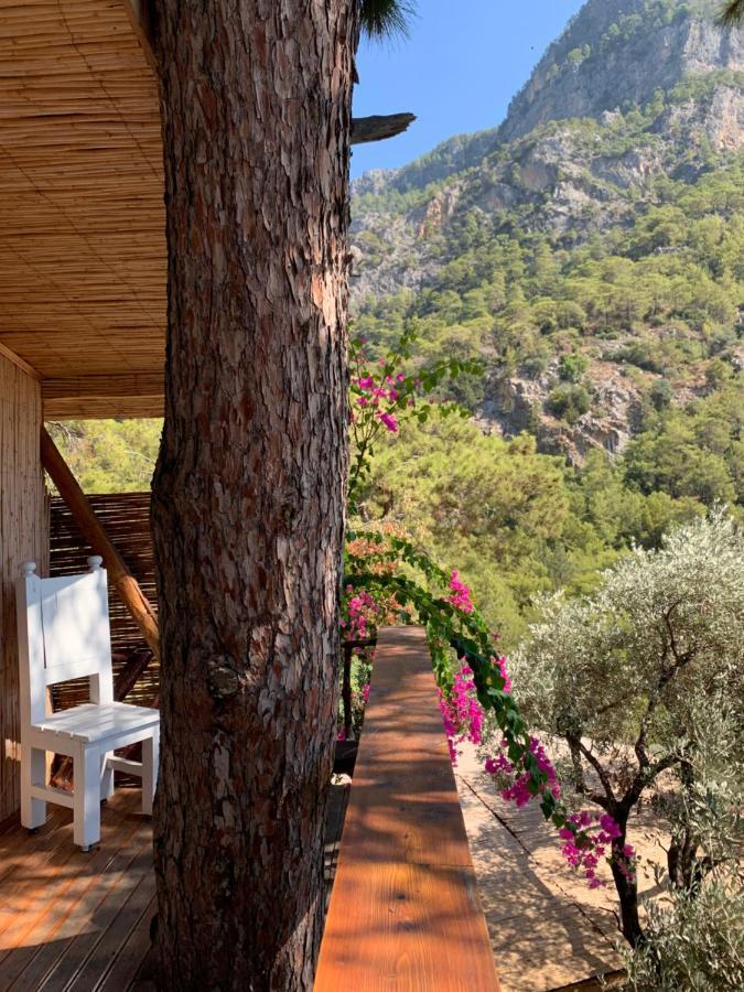 Large Bungalow With Sea View In Kabak Bay, Oeluedeniz Fethiye Eksteriør bilde